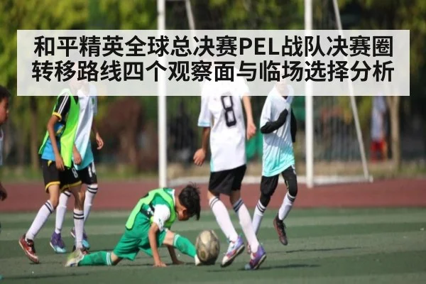 和平精英全球总决赛PEL战队决赛圈转移路线四个观察面与临场选择分析 | ayx
